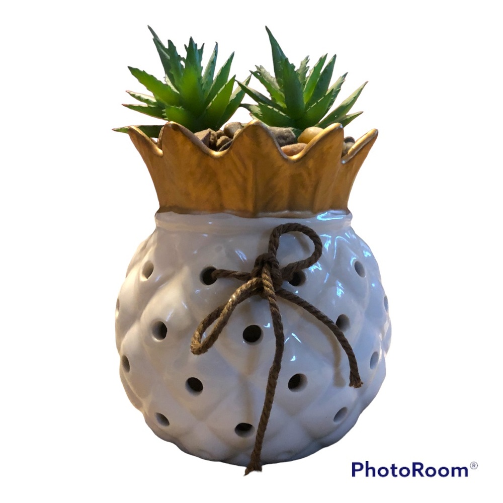 5” Pineapple Decor with Cactus Succulent Plant